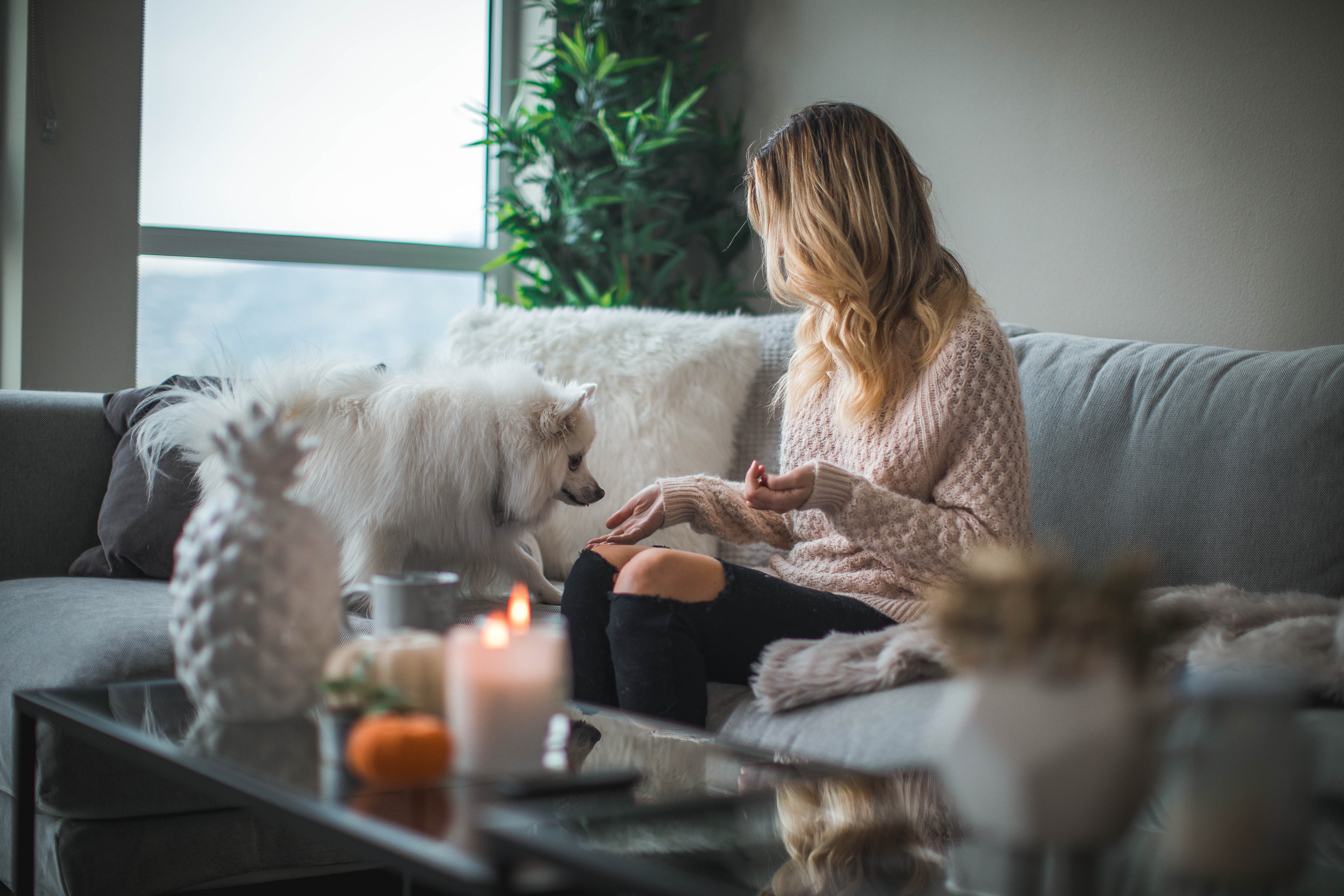 Brad Roemer Realtor has mastered the art of a simple, conversational living room that allows potential homeowners' minds to wander. If you're not planning to rent out your furniture for a few days of open houses and realtor photos, then there's still no need to break the bank